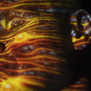 美女献身1-46集电视连续剧
