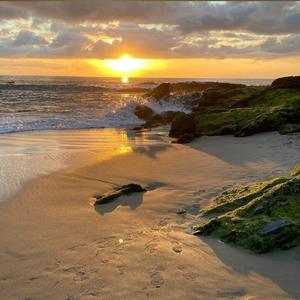 美女献身1-46集电视连续剧
